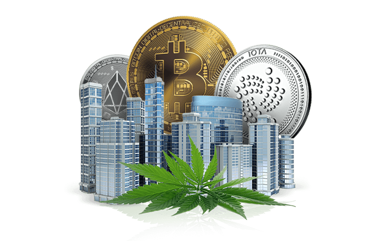 Stadtbild mit Krypto und Cannabis.